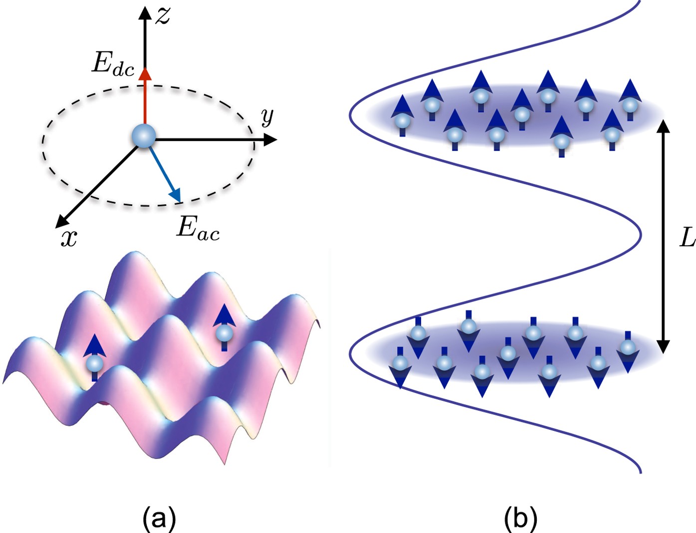 Novel p-wave superfluids of fermionic polar molecules | Scientific Reports