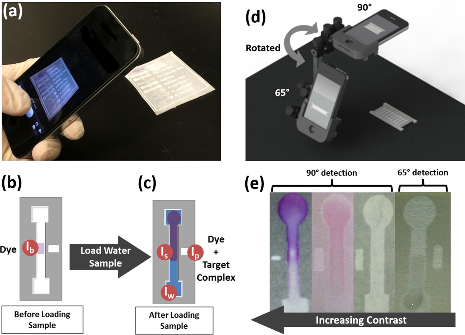 Multimodal Imaging And Lighting Bias Correction For Improved