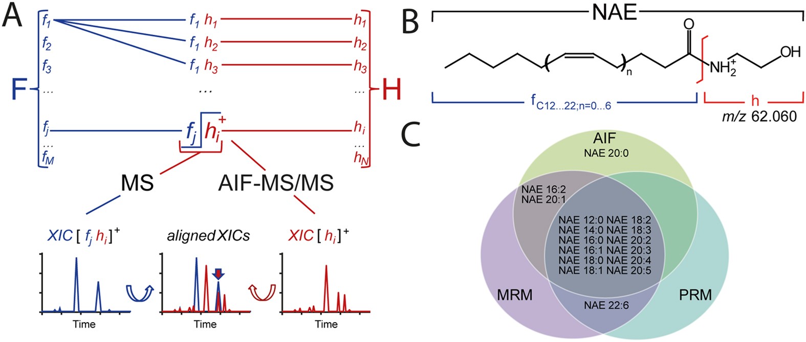 lipid c and ms Discovery by Combinatorial Screening Untargeted LC-MS/MS Metabolomics & Lipidomics - Mass