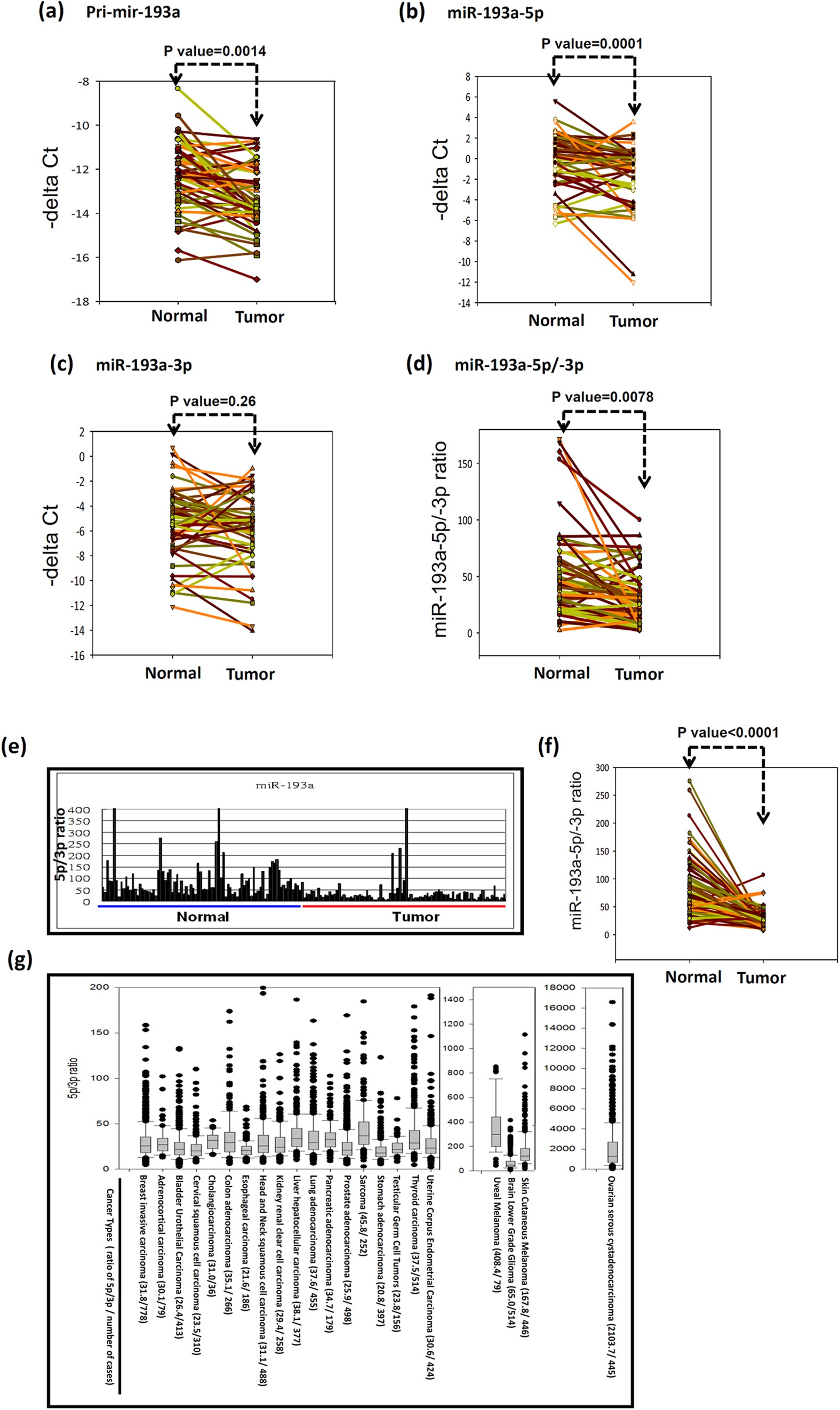 MicroRNA-193a Varies in Breast Cancer picture