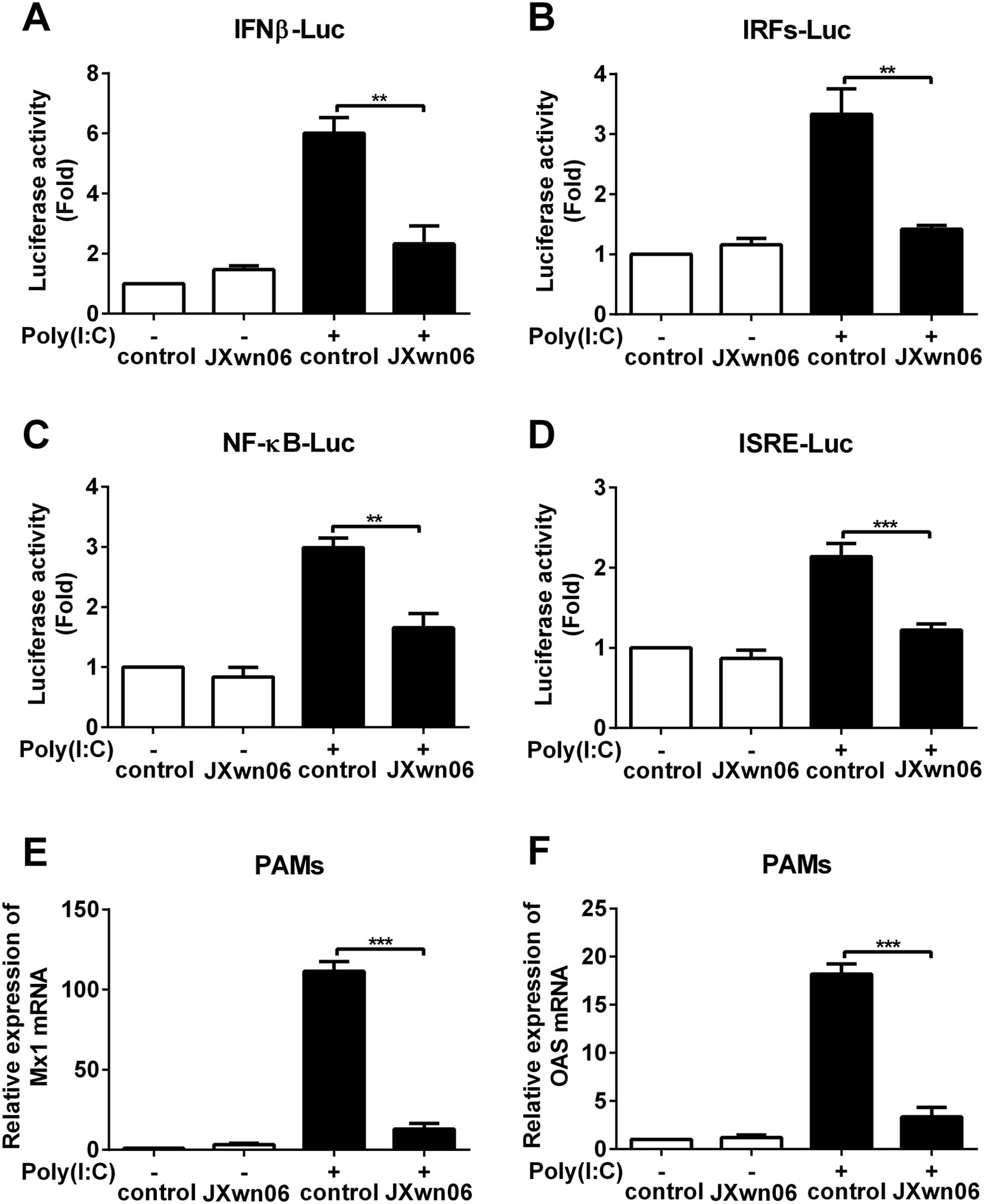 Highly Pathogenic Porcine Reproductive and Respiratory Syndrome Virus Nsp4  Cleaves VISA to Impair Antiviral Responses Mediated by RIG-I-like Receptors  | Scientific Reports