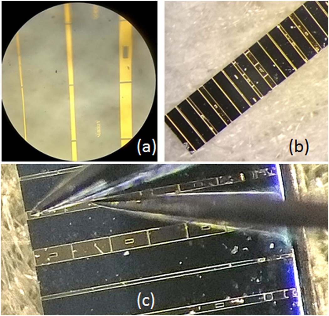 Optical gain in GaAsBi/GaAs quantum well diode lasers | Scientific Reports