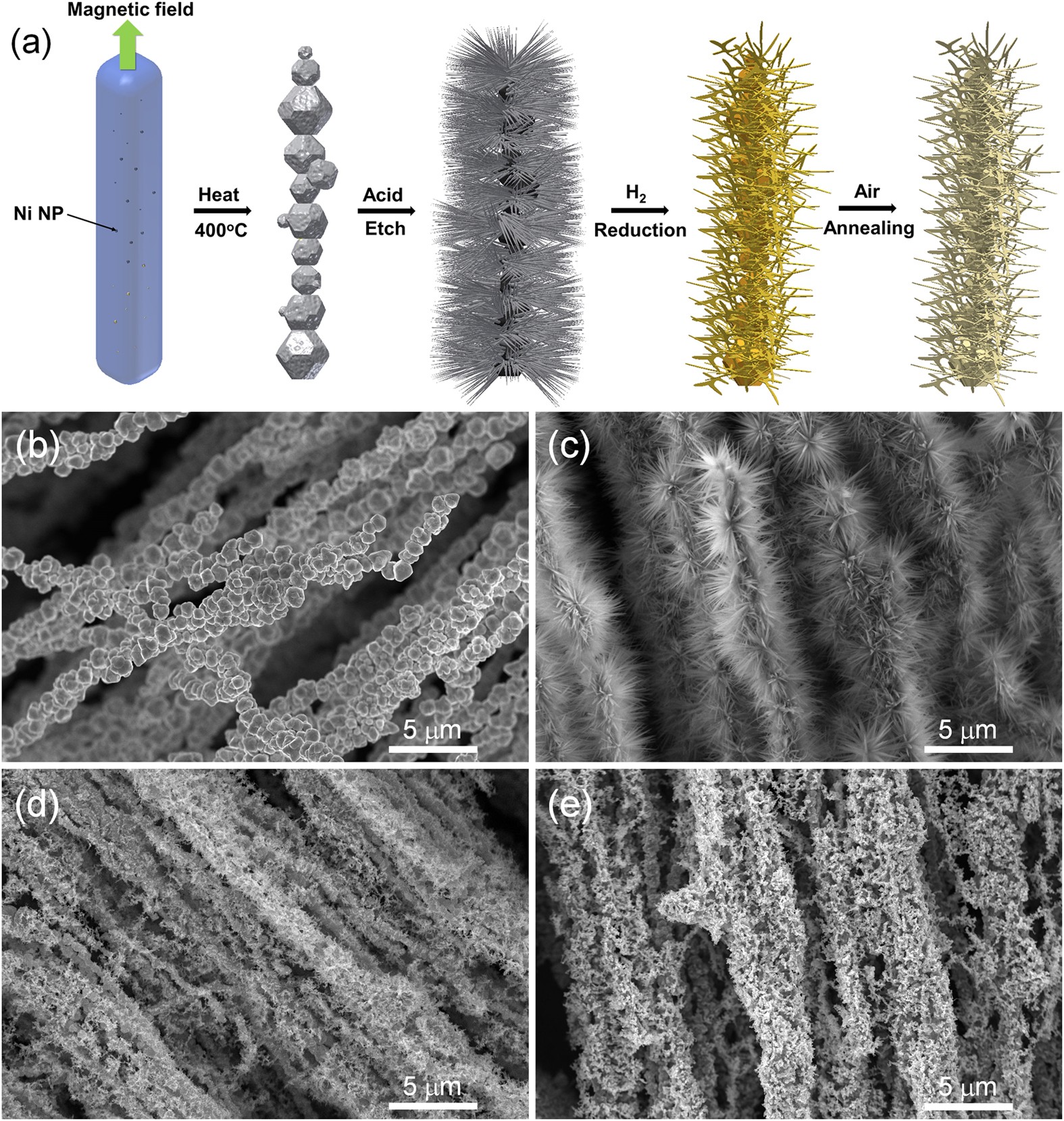 Template Free and Binderless NiO Nanowire Foam for Li-ion Battery Anodes  with Long Cycle Life and Ultrahigh Rate Capability | Scientific Reports