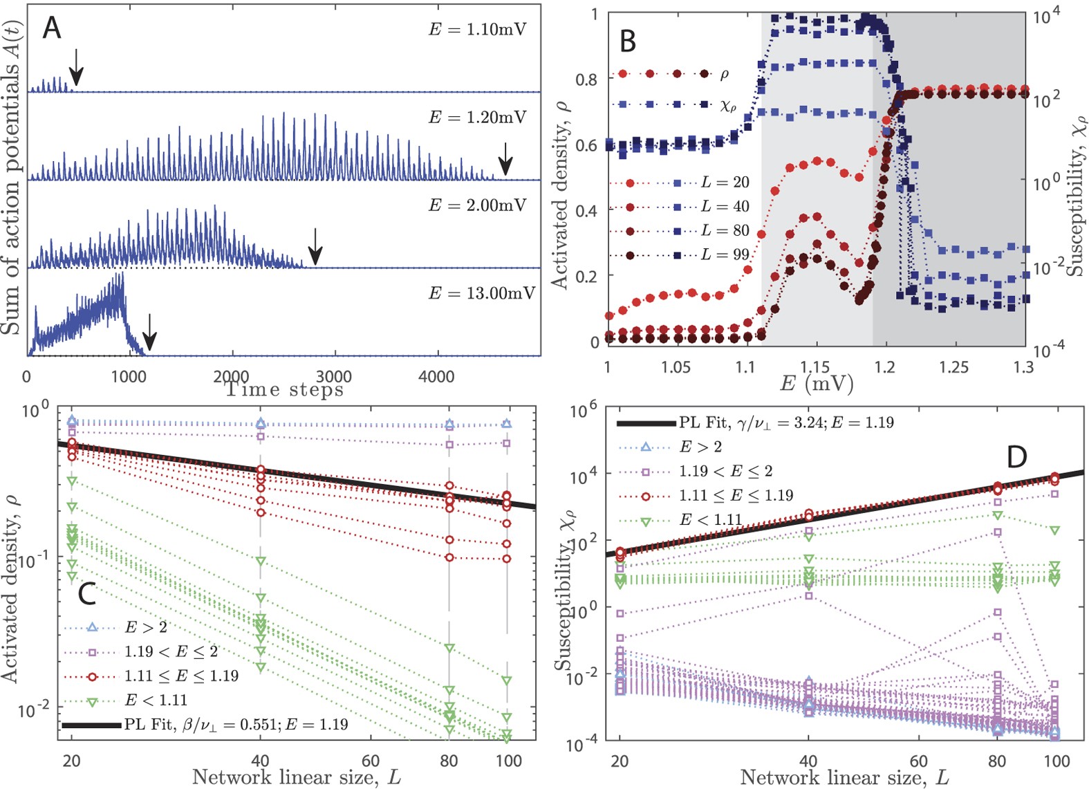 Figure 2: Network activity, order parameter and susceptibility.