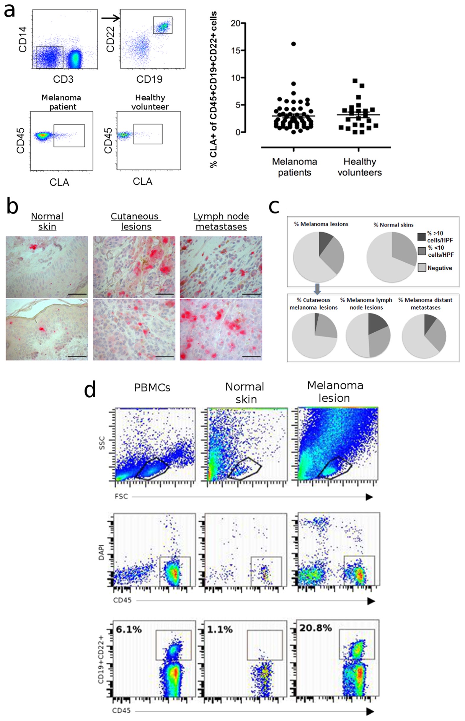 IgG subclass switching and clonal expansion in cutaneous melanoma and  normal skin | Scientific Reports