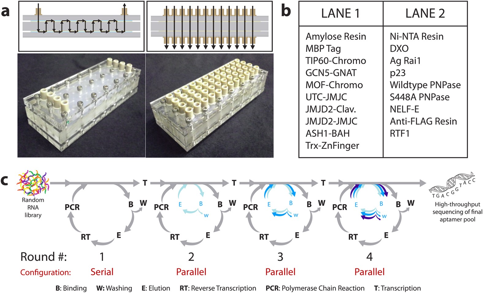 Highly Multiplexed RNA Aptamer Selection using a Microplate-based  Microcolumn Device | Scientific Reports