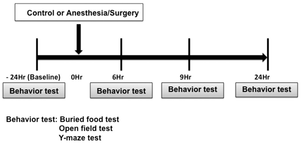 any-maze open-field behavioral testing