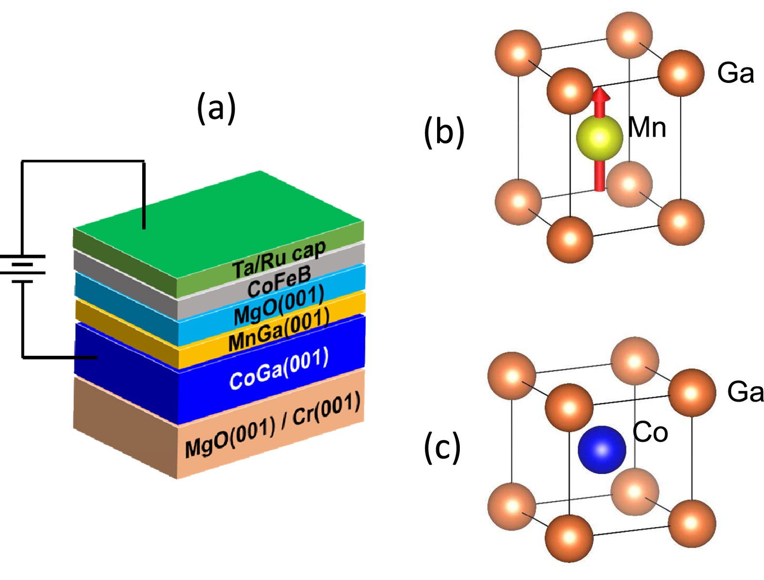 Compact modeling of perpendicular anisotropy co feb mgo mtj