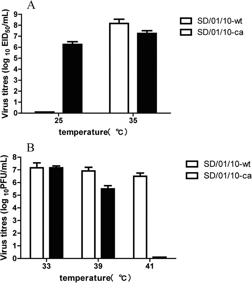 Generation And Protective Efficacy Of A Cold Adapted Attenuated Avian H9n2 Influenza Vaccine Scientific Reports