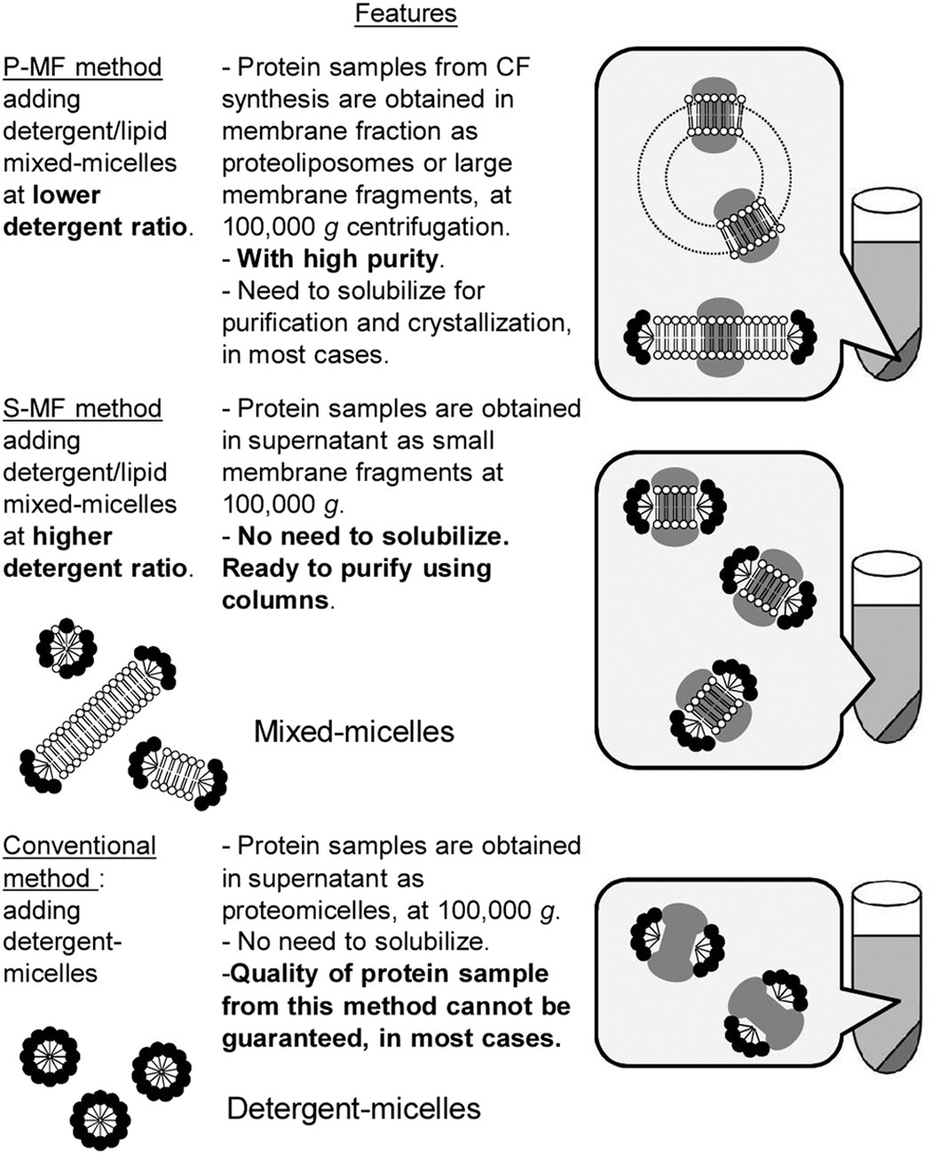 Cells, Free Full-Text