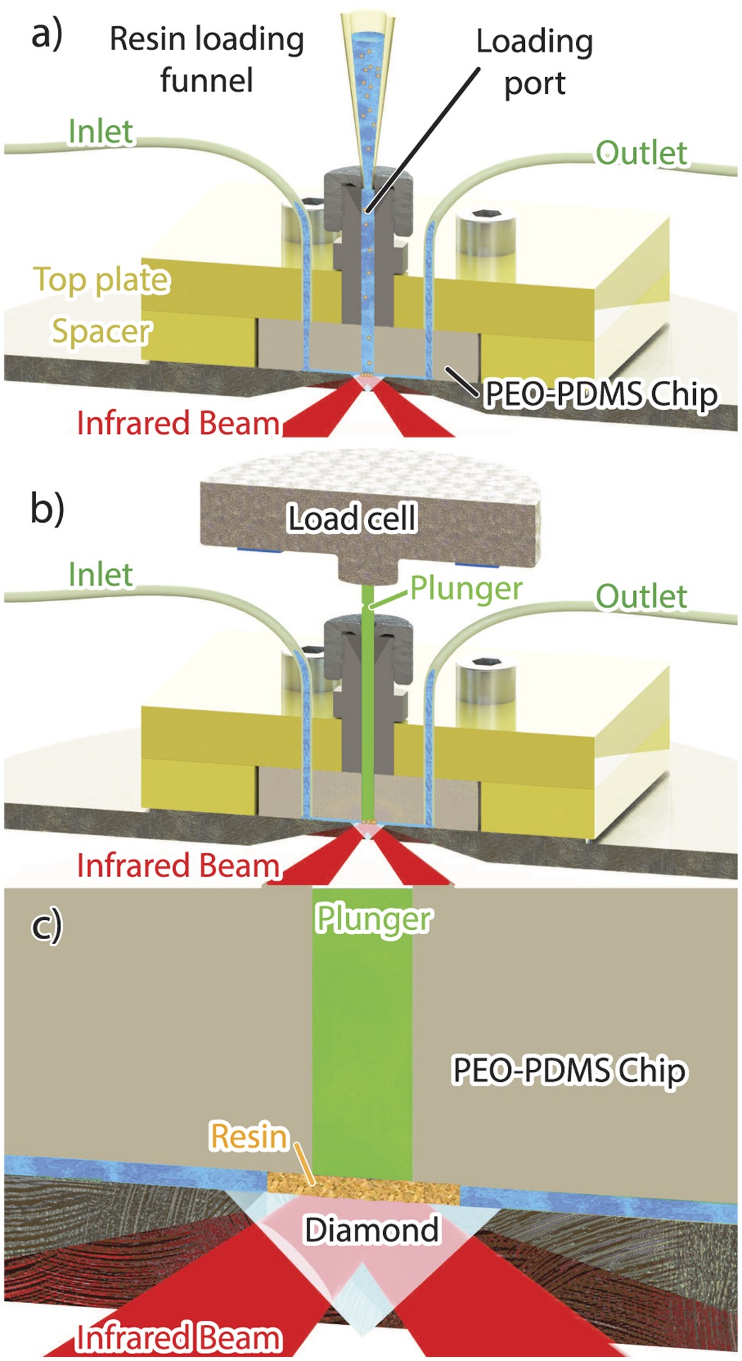 In-column ATR-FTIR spectroscopy to monitor affinity chromatography  purification of monoclonal antibodies | Scientific Reports