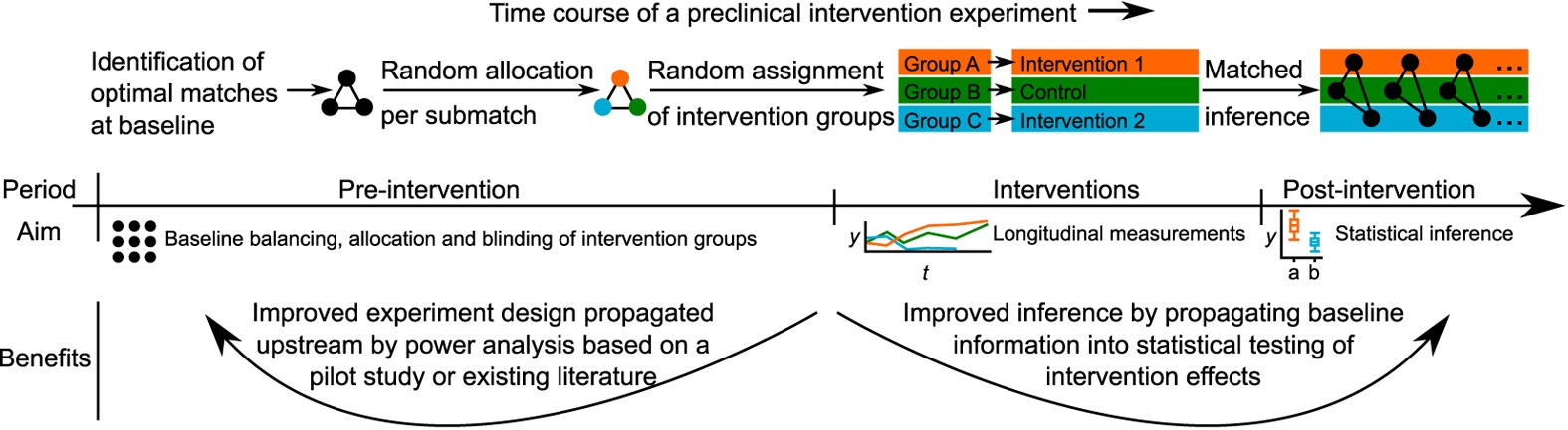 In vivo experiments) The methods of the in vivo experiment schedule.