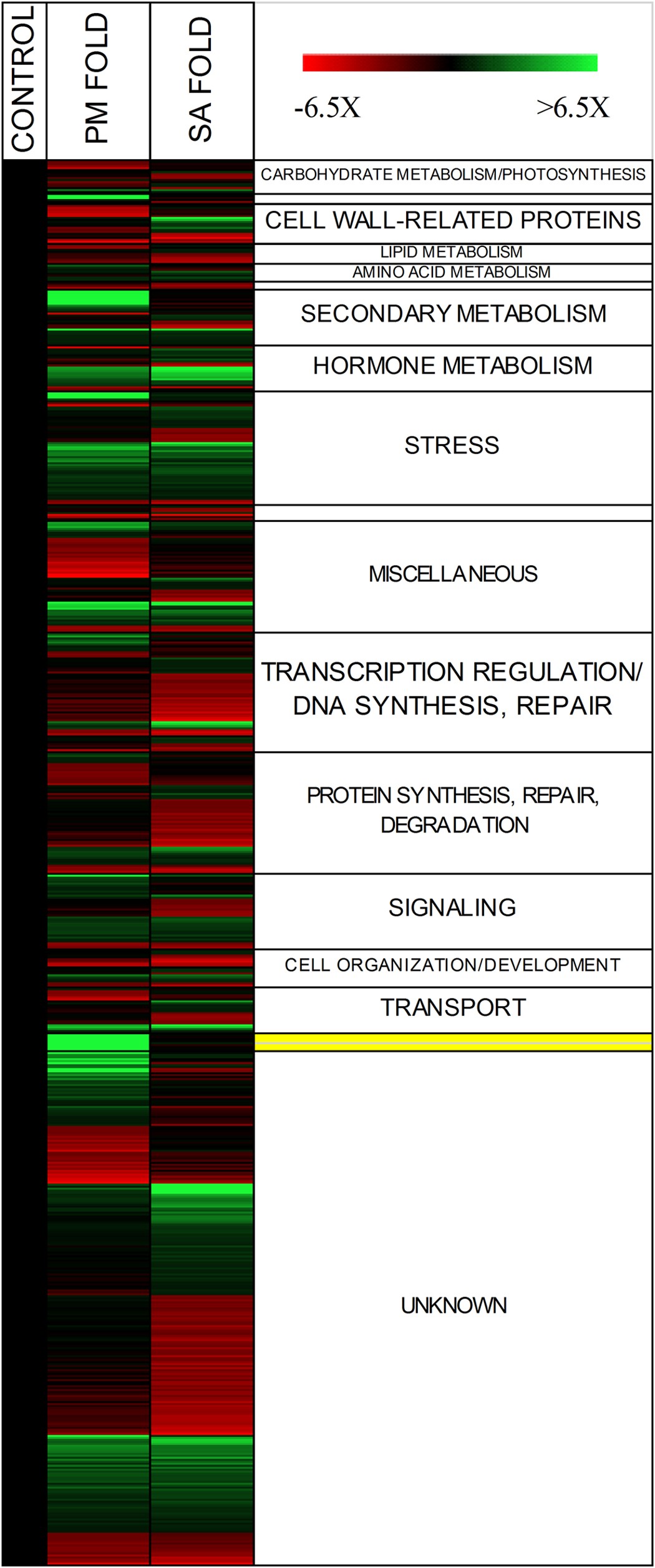 Expression Of A Grapevine Nac Transcription Factor Gene Is Induced In Response To Powdery Mildew Colonization In Salicylic Acid Independent Manner Scientific Reports