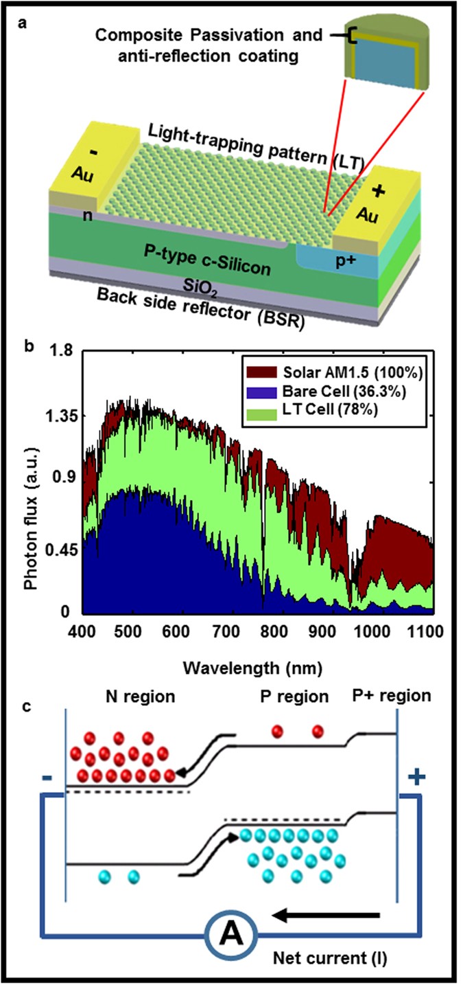 Unified Electromagnetic-Electronic Design of Light Trapping Silicon Solar  Cells | Scientific Reports