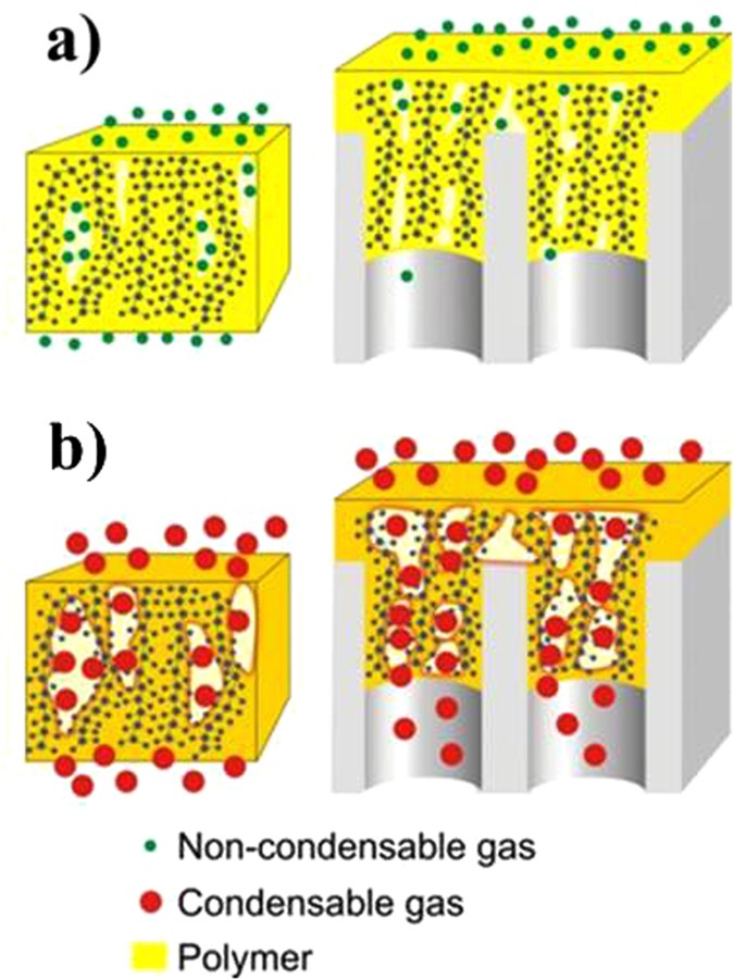 Enhanced gas separation factors of microporous polymer constrained in the  channels of anodic alumina membranes | Scientific Reports