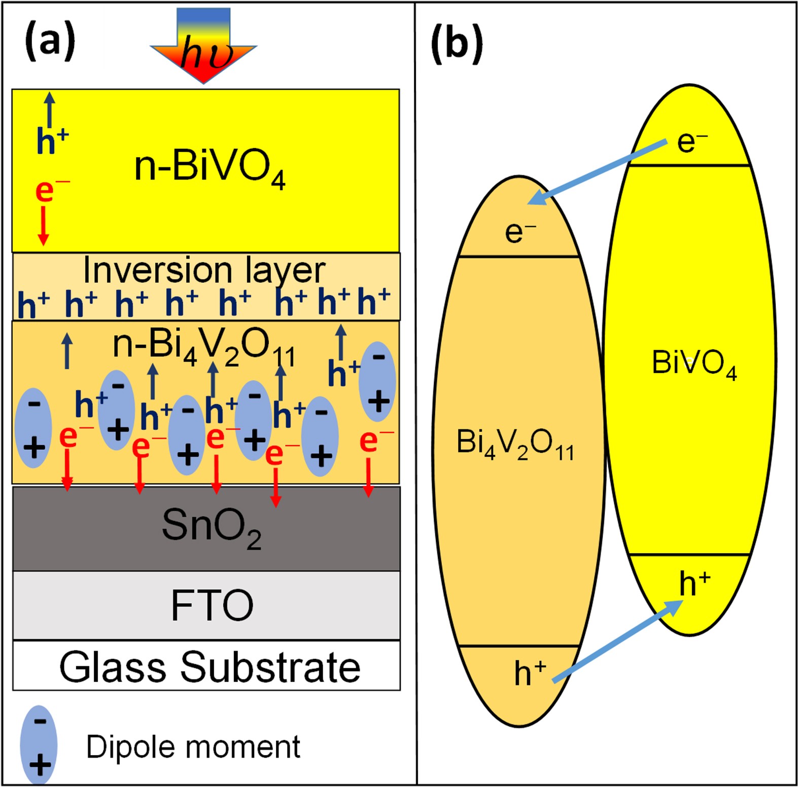 A hole inversion layer at the BiVO4/Bi4V2O11 interface produces a high  tunable photovoltage for water splitting | Scientific Reports