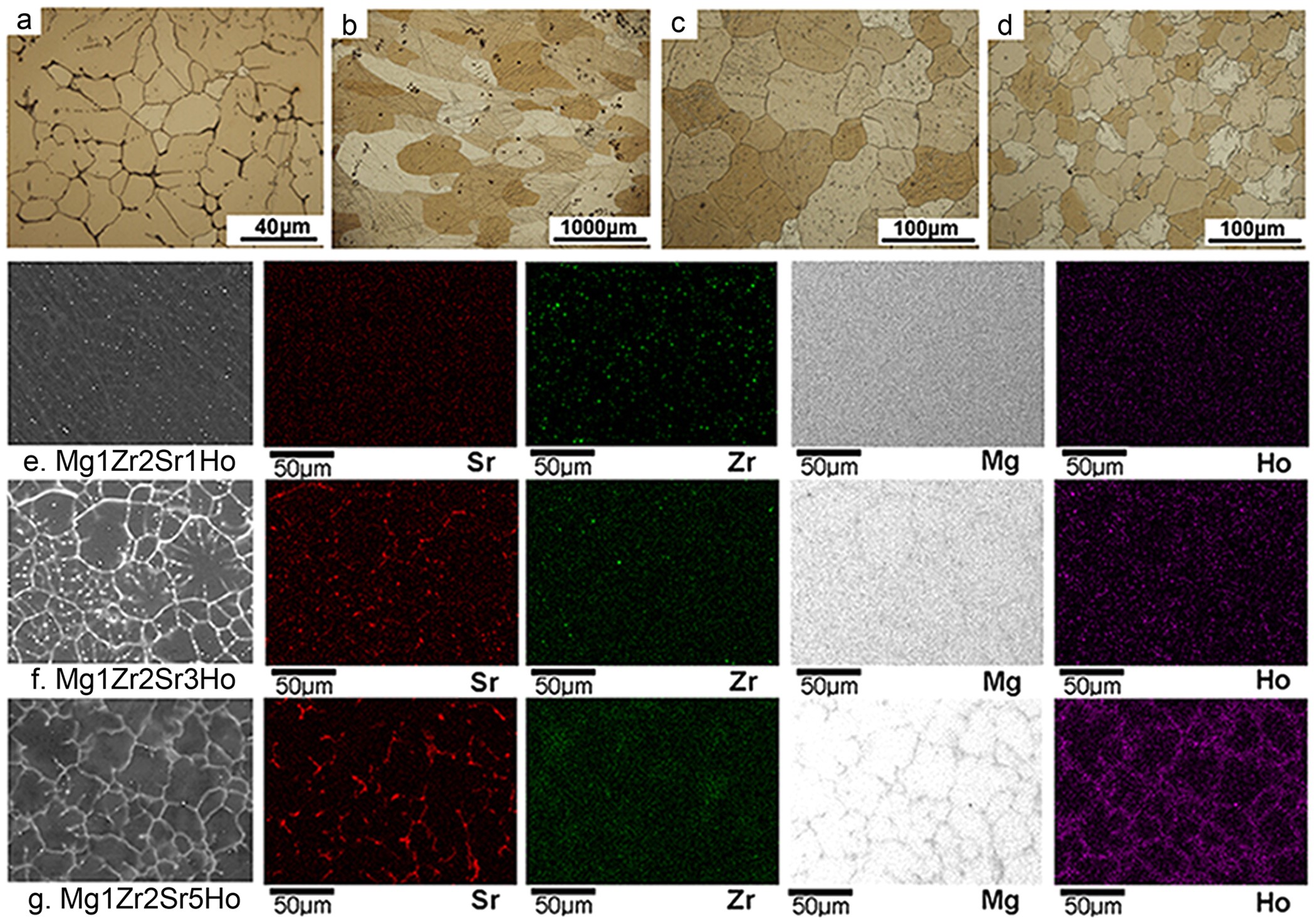 Mechanical properties, in vitro corrosion and biocompatibility of newly  developed biodegradable Mg-Zr-Sr-Ho alloys for biomedical applications |  Scientific Reports