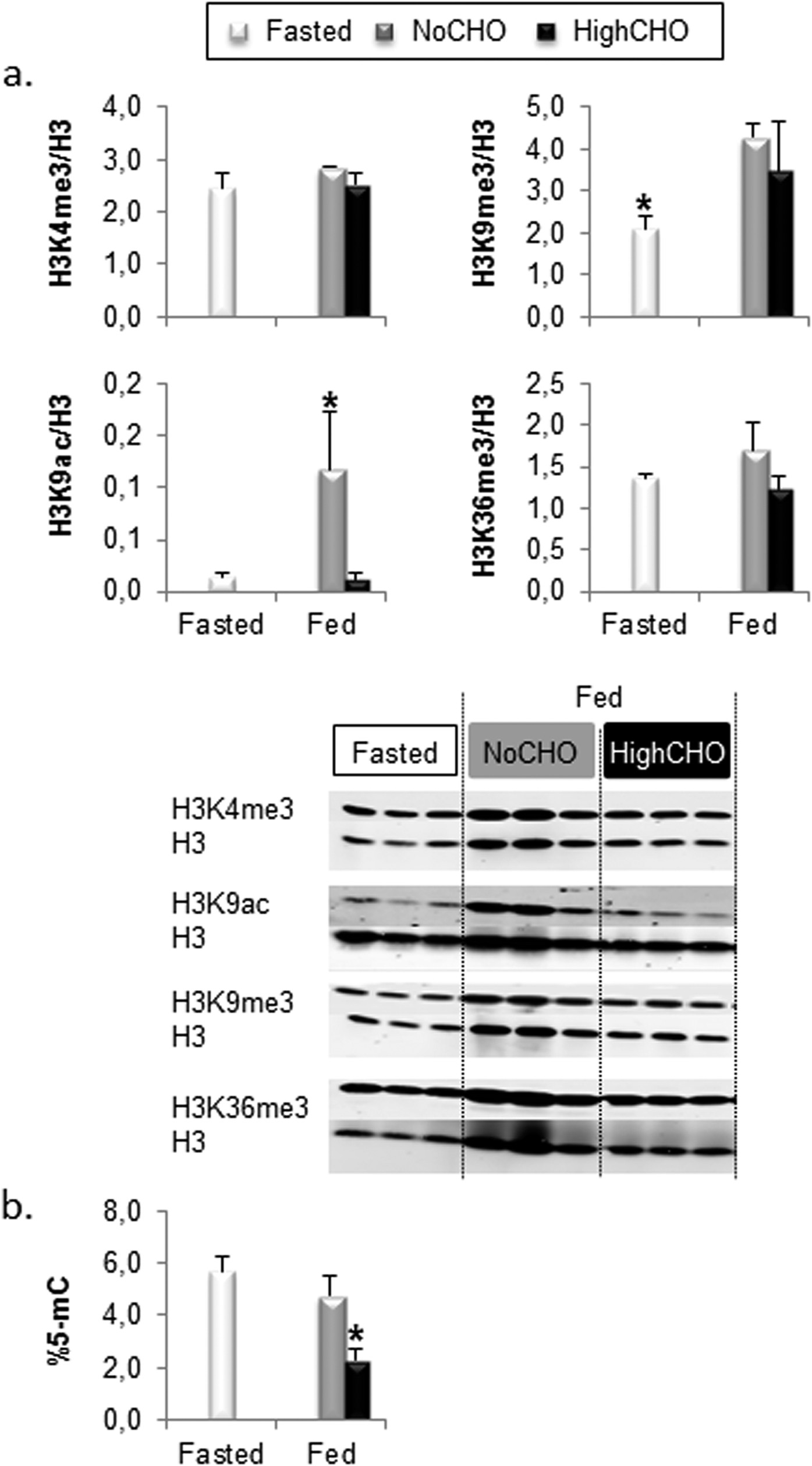 Ufr Des Sciences Et Techniques De La Côte Basque Remodelling of the hepatic epigenetic landscape of glucose-intolerant  rainbow trout (Oncorhynchus mykiss) by nutritional status and dietary  carbohydrates | Scientific Reports