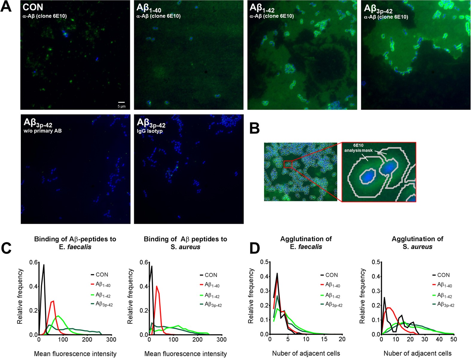 Amyloidogenic Amyloid B Peptide Variants Induce Microbial Agglutination And Exert Antimicrobial Activity Scientific Reports