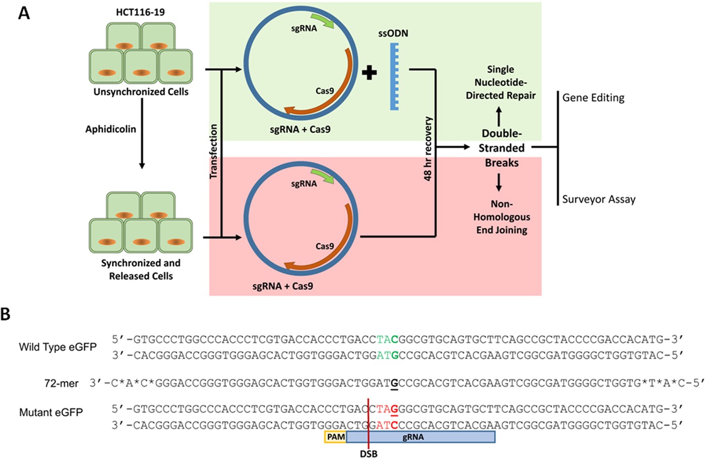 feng zhang mit dna master editor feng zhang mit dna master editor