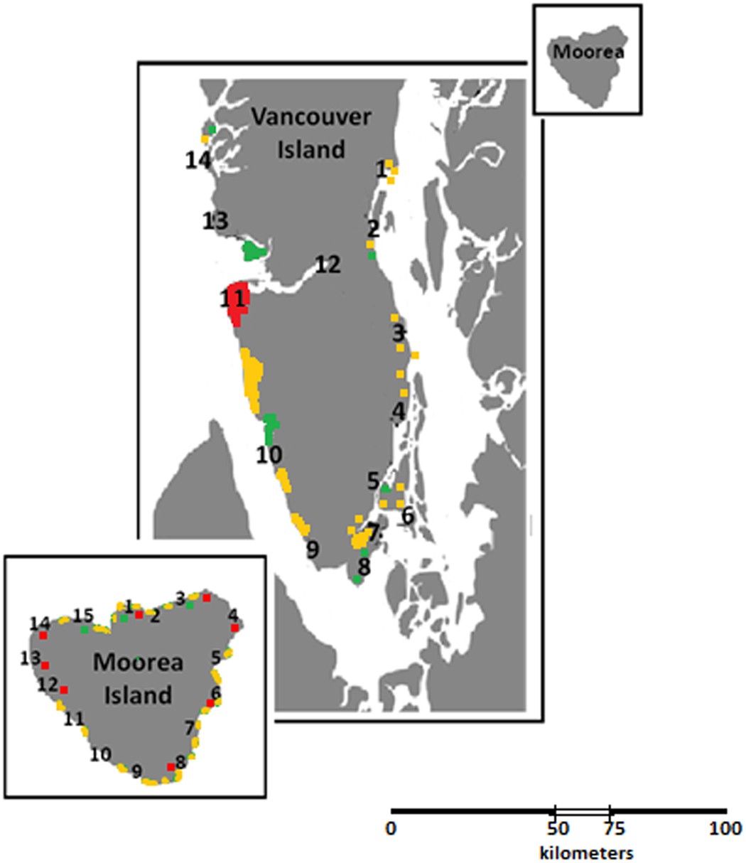 The Marine Biodiversity of the Mediterranean Sea in a Changing Climate: The  Impact of Biological Invasions