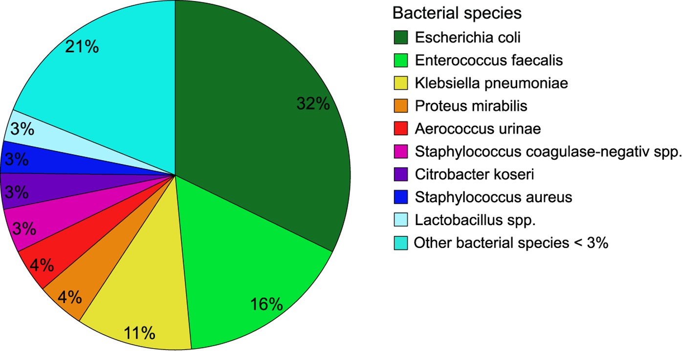 Enterococcus faecalis 10 в 6