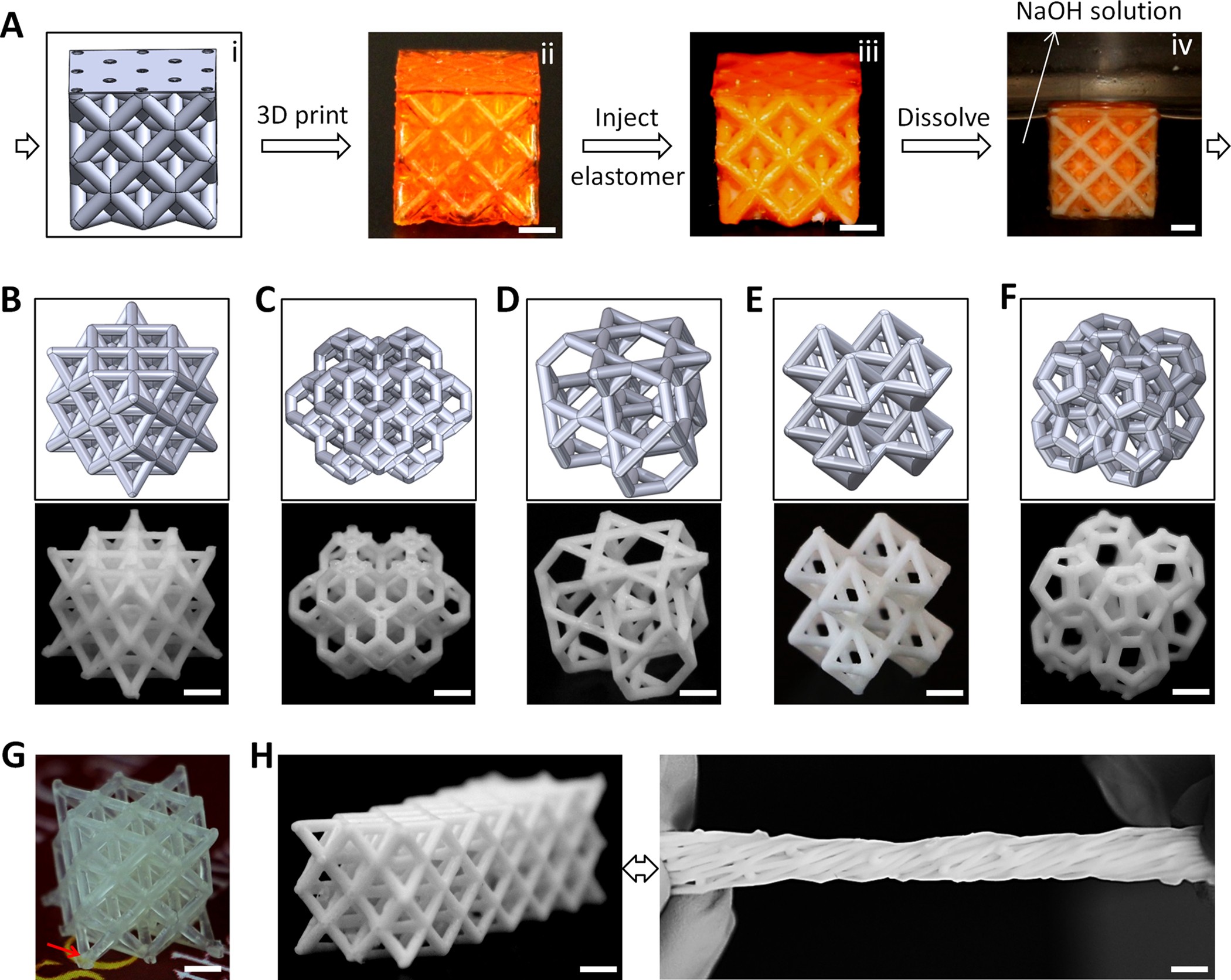 Energy Absorption Properties of Two 3D-Printed Lattice Structures