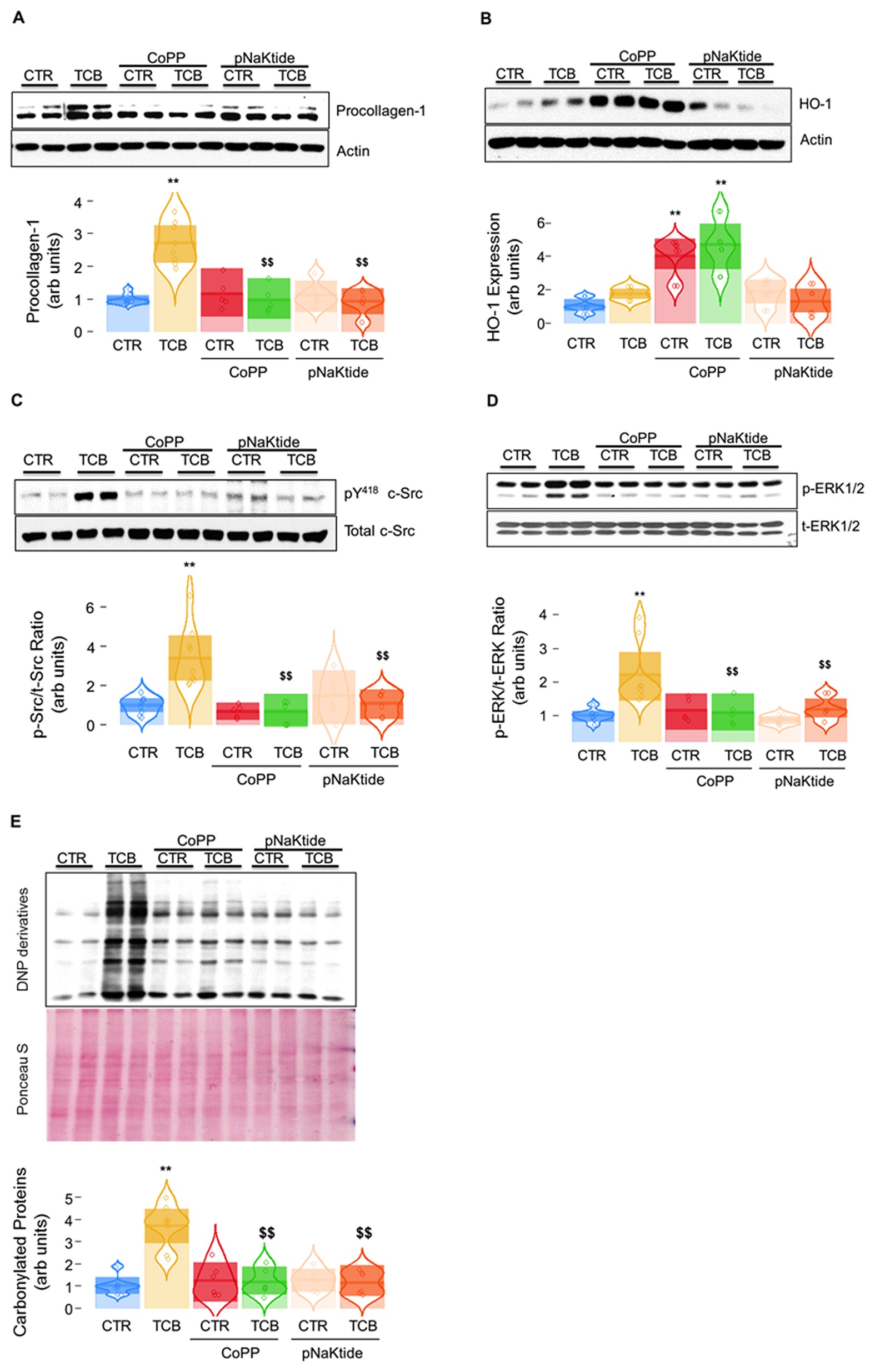 Attenuation Of Na K Atpase Mediated Oxidant Amplification With