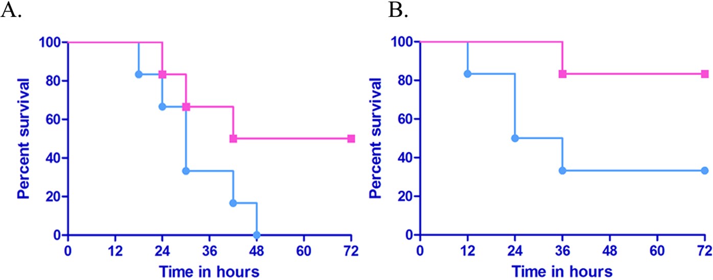 Escherichia Coli Braun Lipoprotein Blp Exhibits Endotoxemia