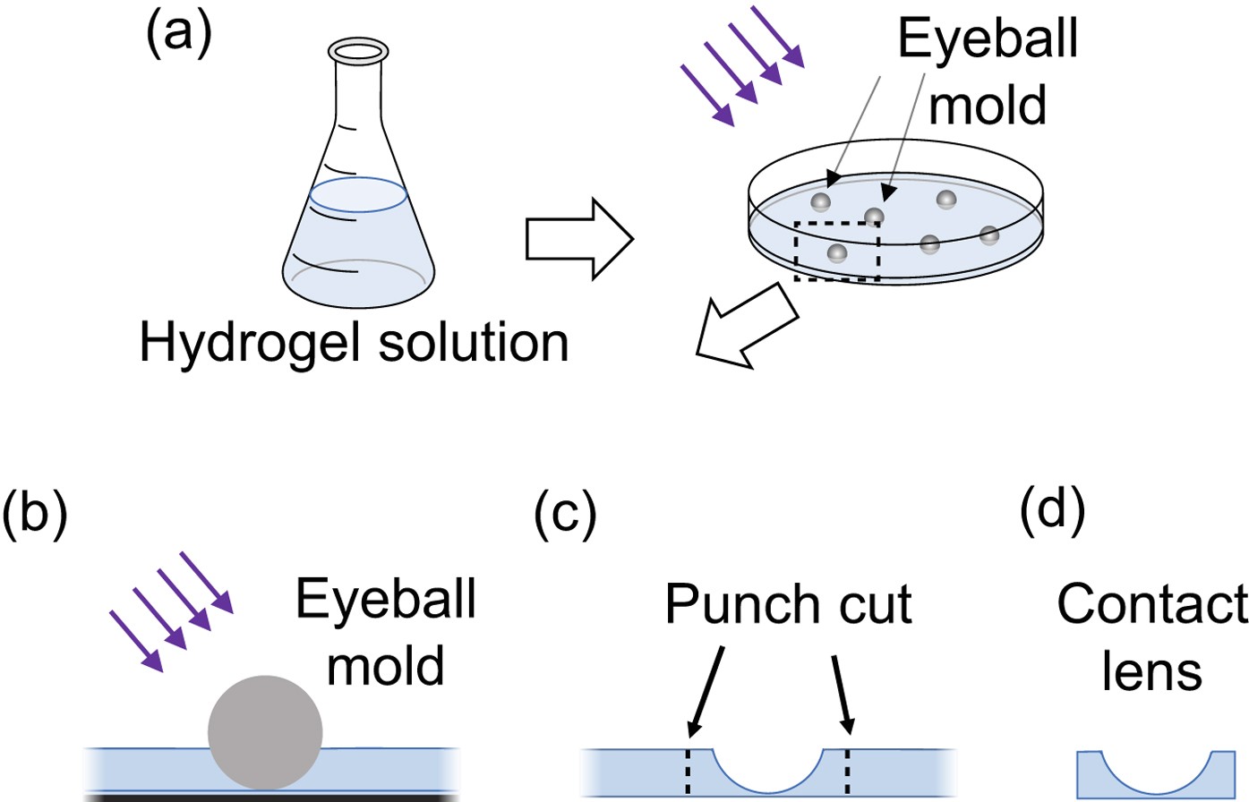 Fabricating Customized Hydrogel Contact Lens Scientific Reports