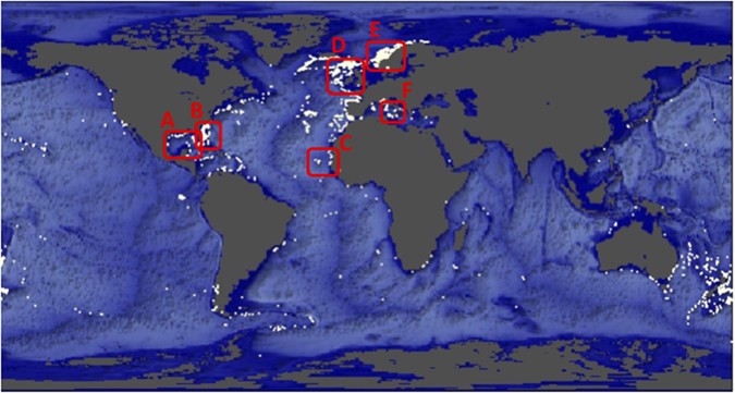 Ecosystem Engineering Creates A Direct Nutritional Link Between
