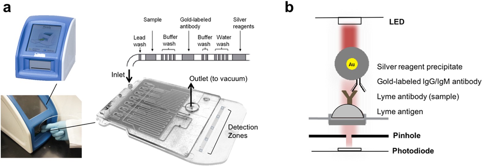Microfluidics-based point-of-care test for serodiagnosis of Lyme Disease |  Scientific Reports