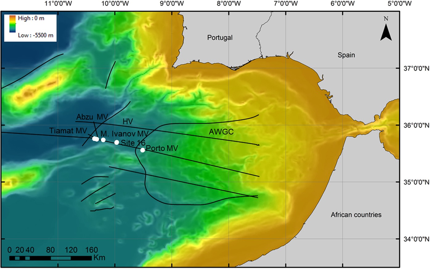 Integrated analysis of bacterial and microeukaryotic communities from  differentially active mud volcanoes in the Gulf of Cadiz | Scientific  Reports