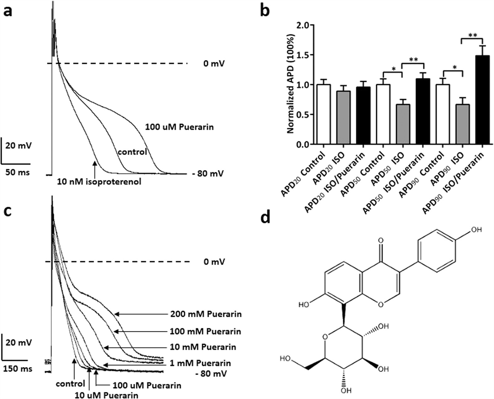 The Effects Of Puerarin On Rat Ventricular Myocytes And The Potential Mechanism Scientific Reports