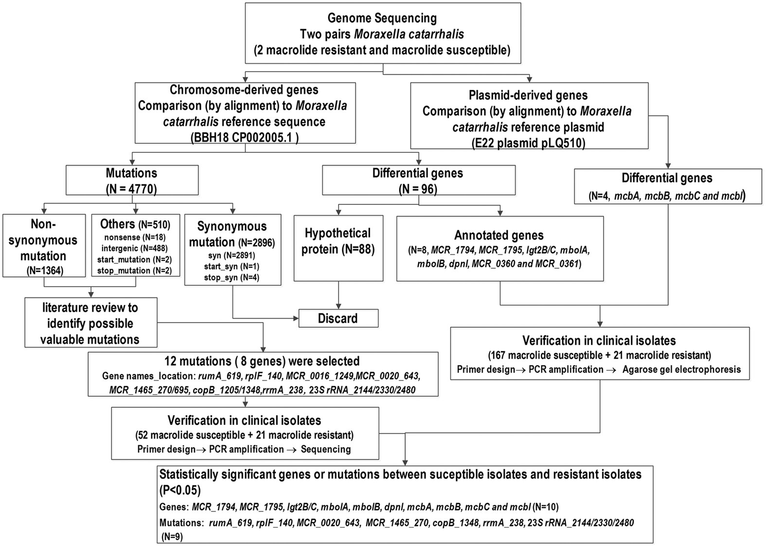 Use Of Next Generation Sequence To Investigate Potential Novel Macrolide Resistance Mechanisms In A Population Of Moraxella Catarrhalis Isolates Scientific Reports