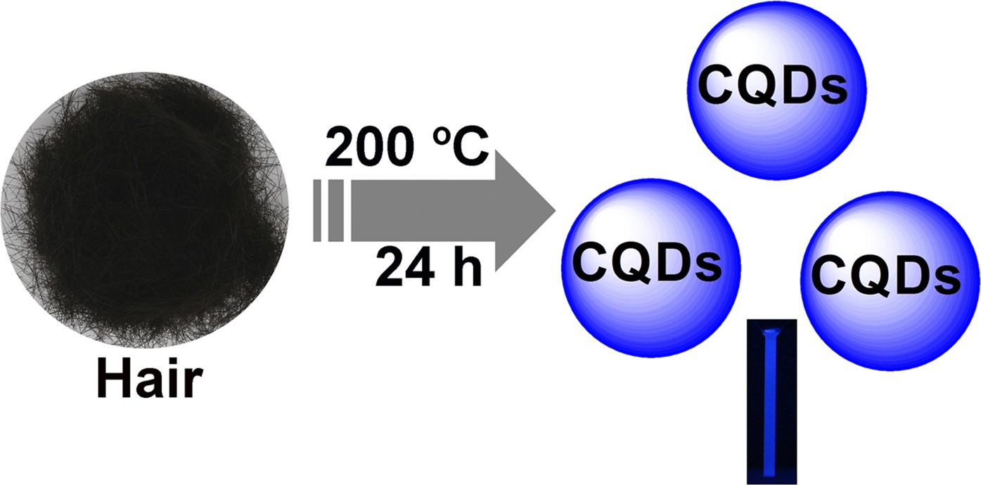 Thermal treatment of hair for the synthesis of sustainable carbon quantum dots and the applications for sensing Hg2+ | Scientific Reports Thermal treatment of hair for the synthesis of sustainable carbon quantum dots and the applications for sensing Hg2+ | Scientific Reports