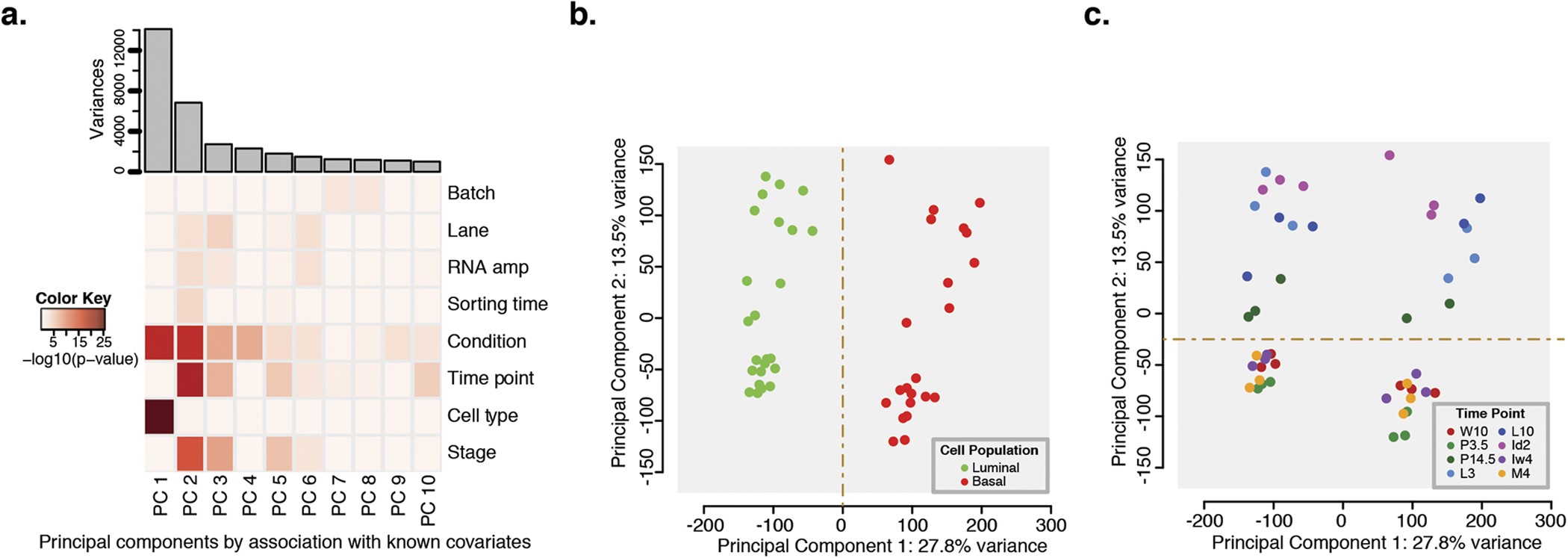 Lpa Receptor Activity Is Basal Specific And Coincident With Early