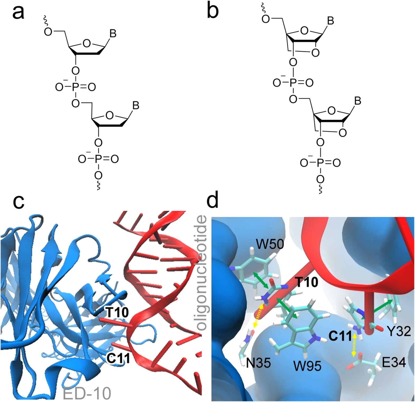 Synthetic Oligonucleotide Antigens Modified With Locked Nucleic Acids Detect Disease Specific Antibodies Scientific Reports