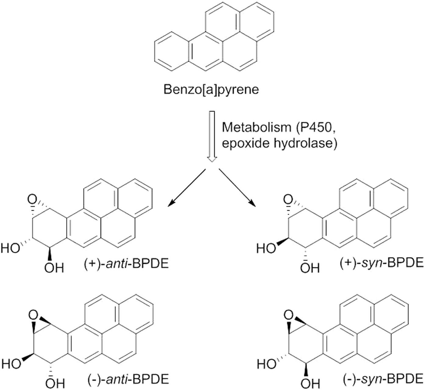 Interaction Of Benzo A Pyrene Diol Epoxide Isomers With Human Serum Albumin Site Specific Characterisation Of Adducts And Associated Kinetics Scientific Reports