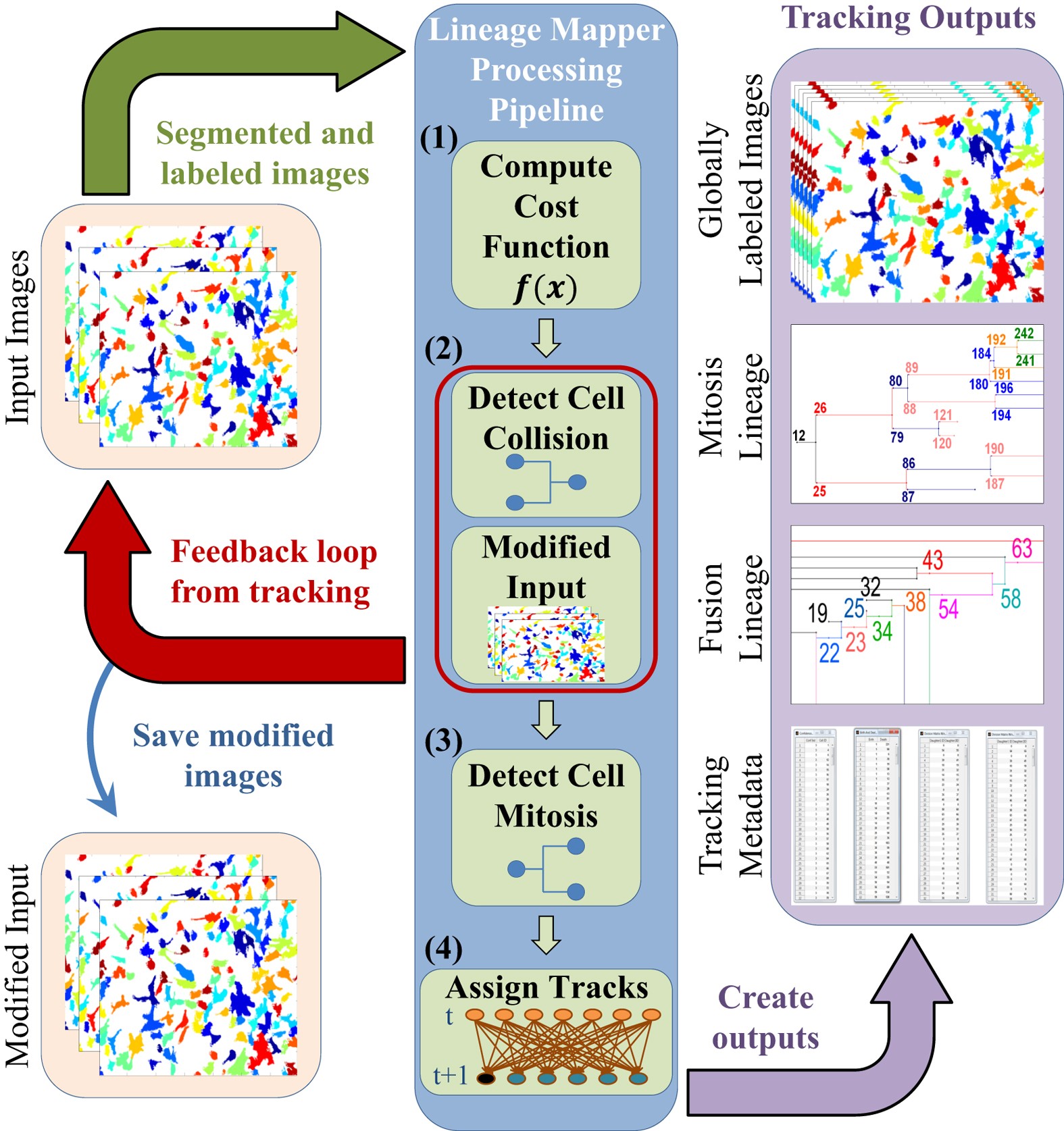 Lineage Mapper A Versatile Cell And Particle Tracker