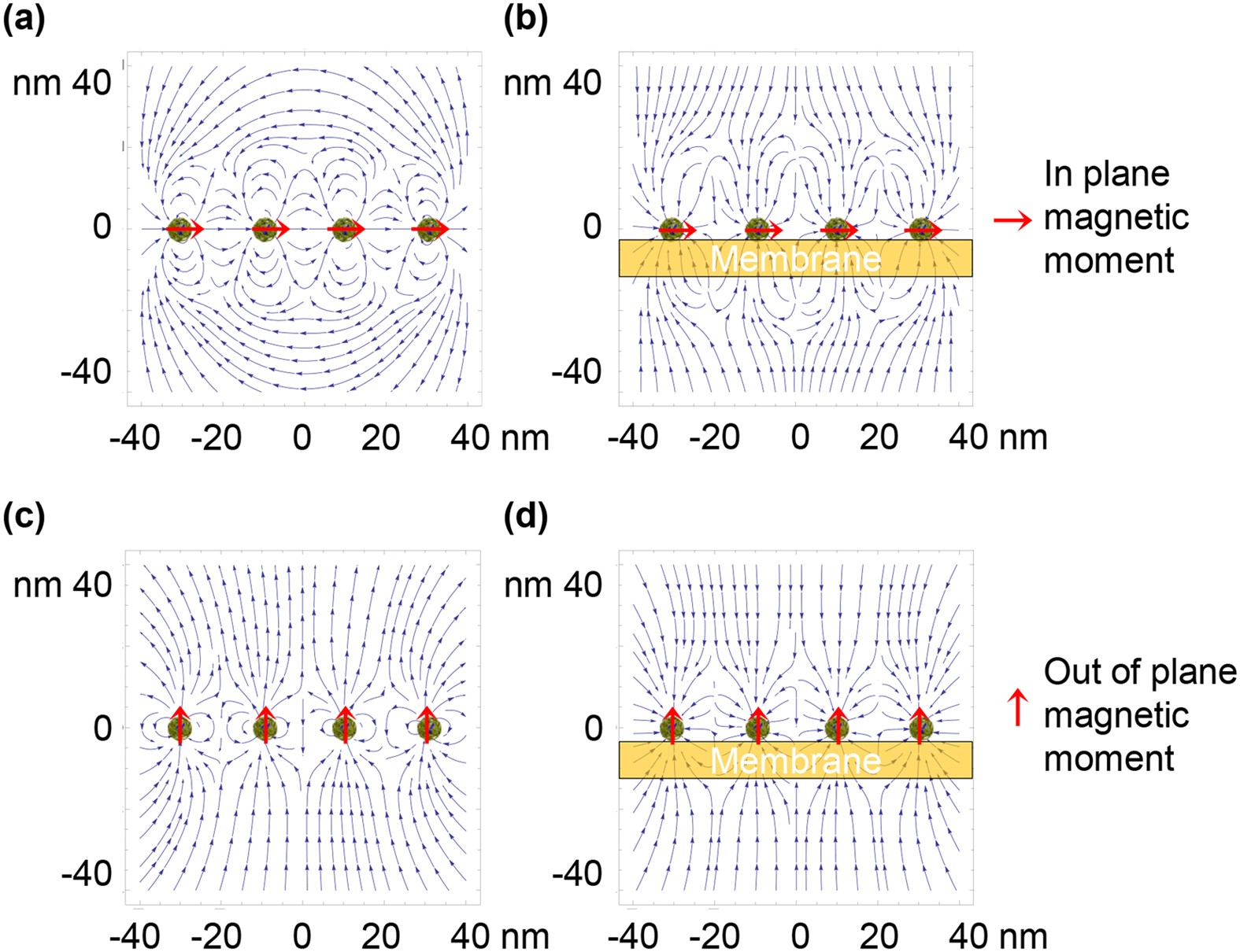 High-Gradient Magnetic Field Could Cell Life Scientific Reports