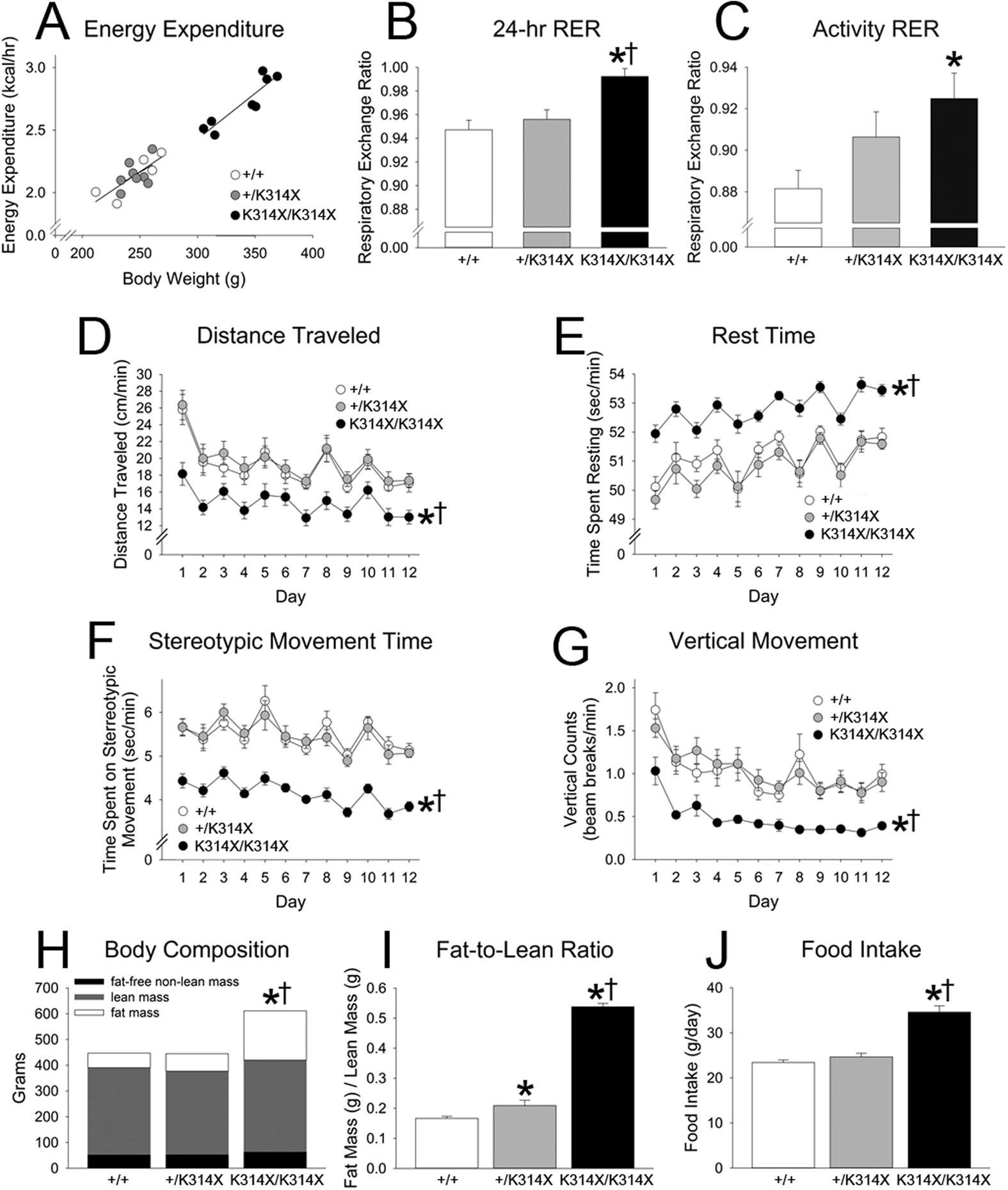 Physical Activity, Energy Expenditure, and Defense of Body Weight in  Melanocortin 4 Receptor-Deficient Male Rats | Scientific Reports