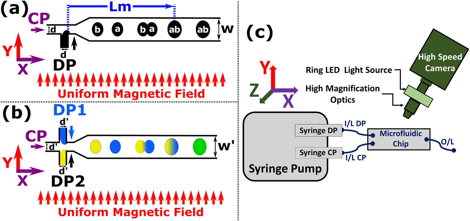 Droplet Merging On A Lab On A Chip Platform By Uniform Magnetic Fields Scientific Reports