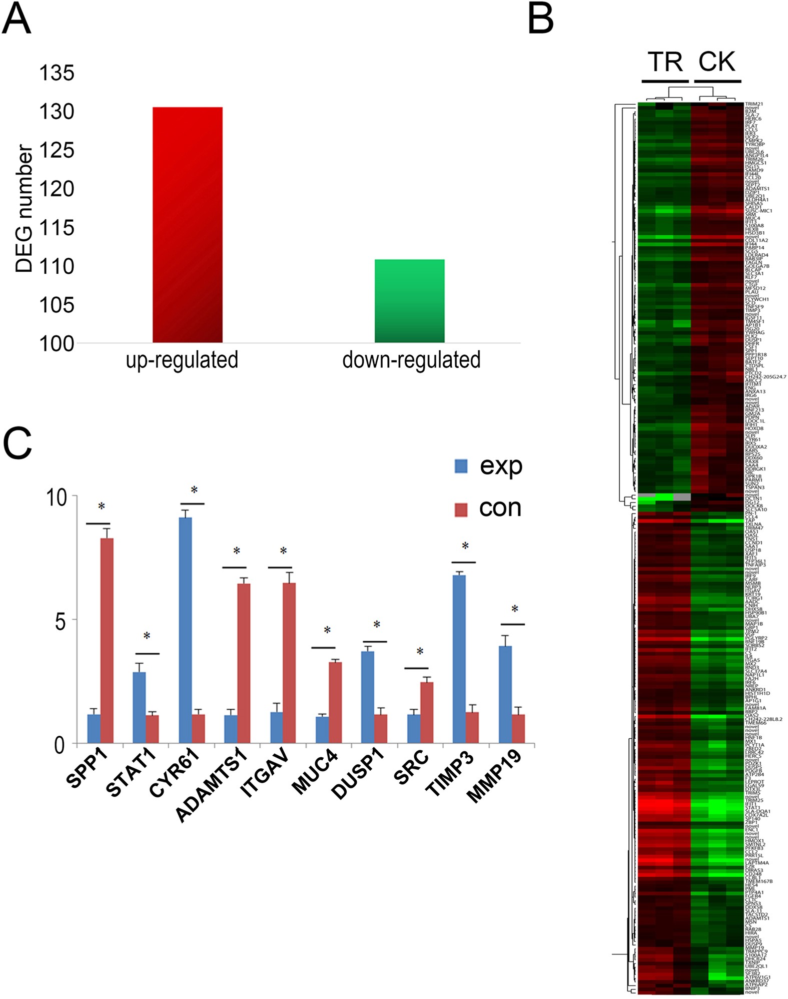 Analysis of DMC1 Knockdowns Generated by the In Vivo siRNA