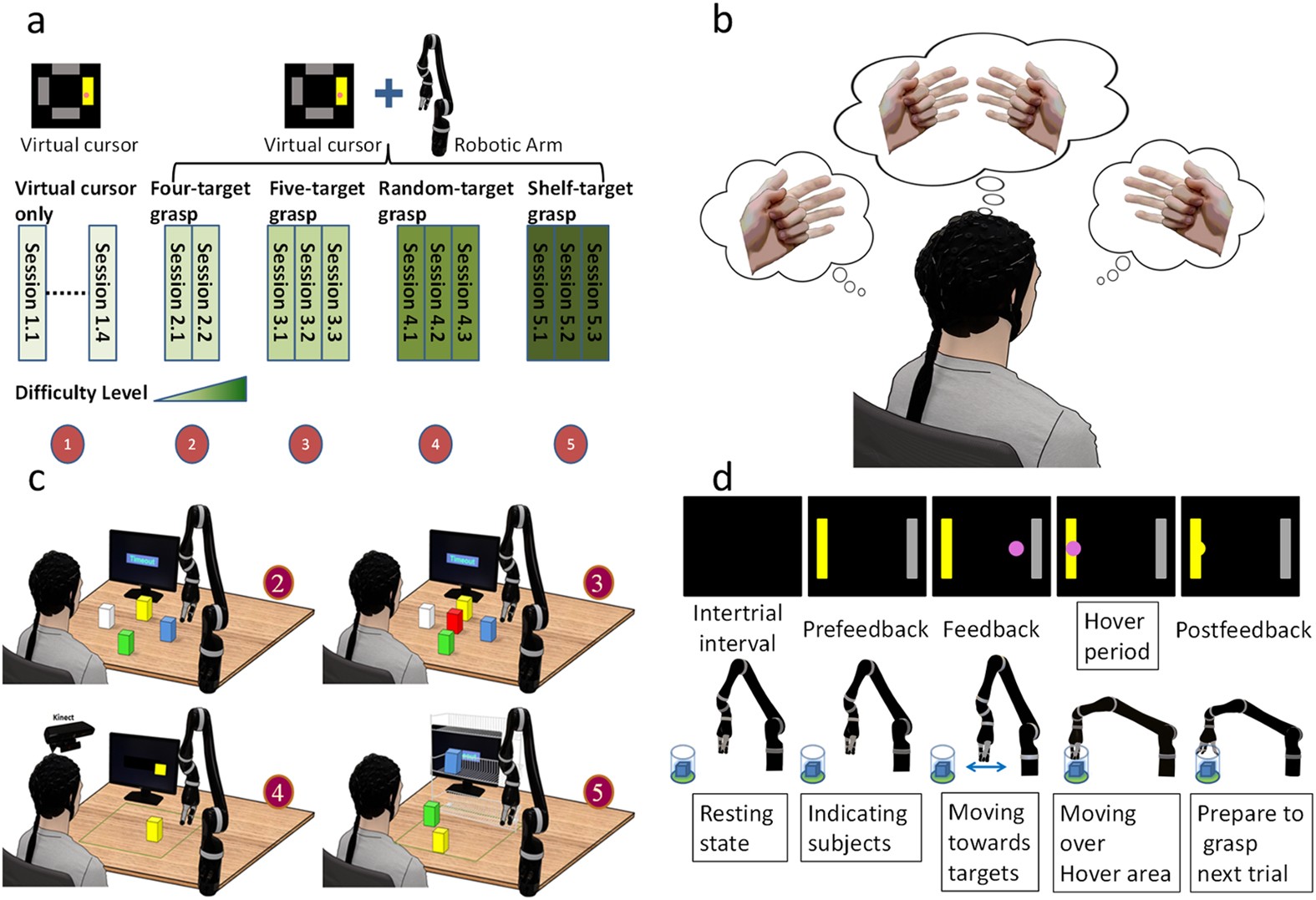 Noninvasive Electroencephalogram Based Control of a Robotic Arm for Reach  and Grasp Tasks | Scientific Reports