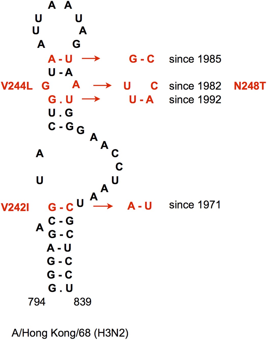 Subtype Specific Structural Constraints In The Evolution Of Influenza A Virus Hemagglutinin Genes Scientific Reports