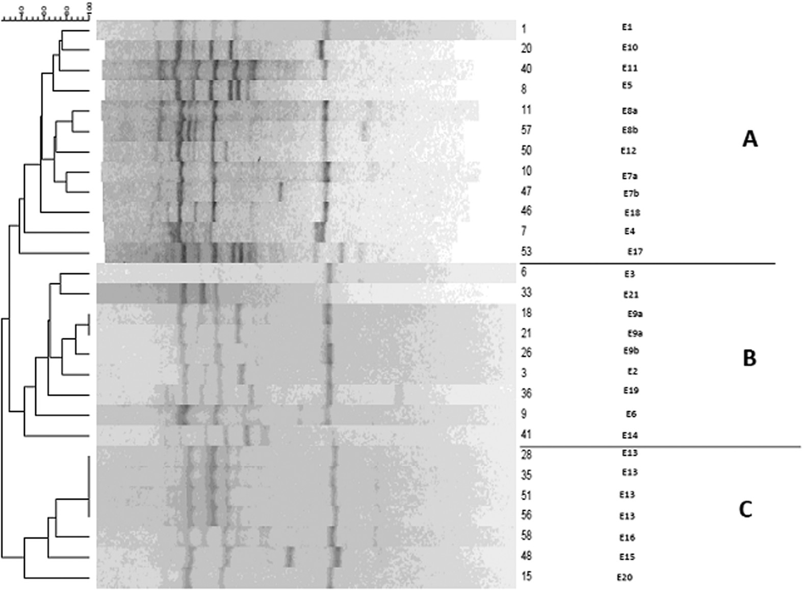 Molecular typing and virulence analysis of multidrug resistant Klebsiella  pneumoniae clinical isolates recovered from Egyptian hospitals | Scientific  Reports