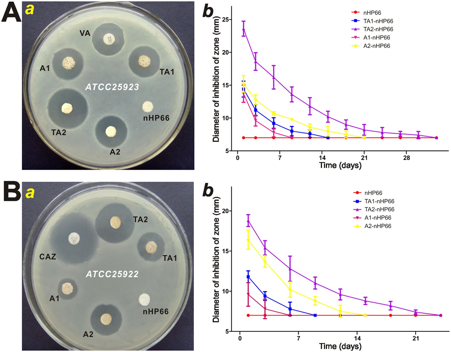 An effective treatment of experimental osteomyelitis using the  antimicrobial titanium/silver-containing nHP66  (nano-hydroxyapatite/polyamide-66) nanoscaffold biomaterials | Scientific  Reports