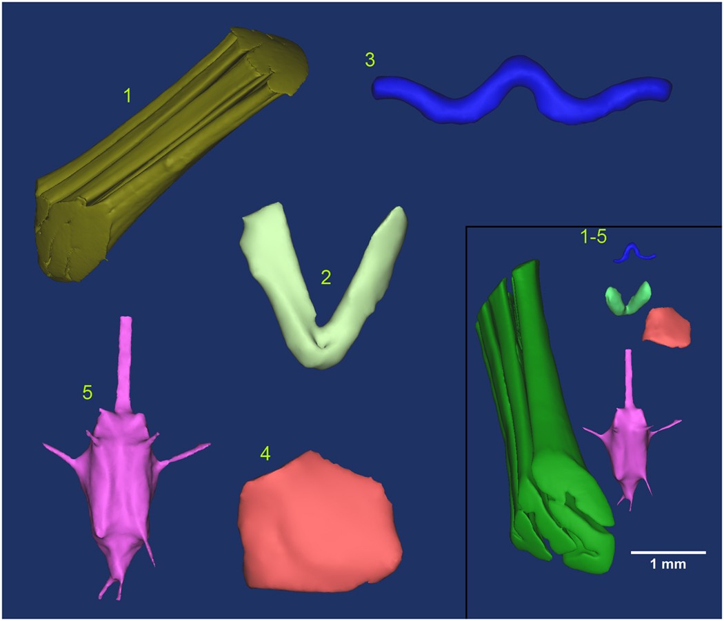 Figure 4