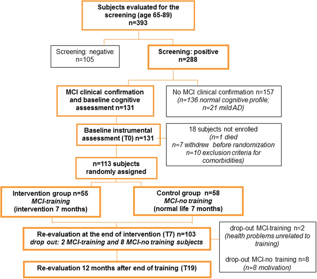 Randomized trial on the effects of a combined physical/cognitive training  in aged MCI subjects: the Train the Brain study